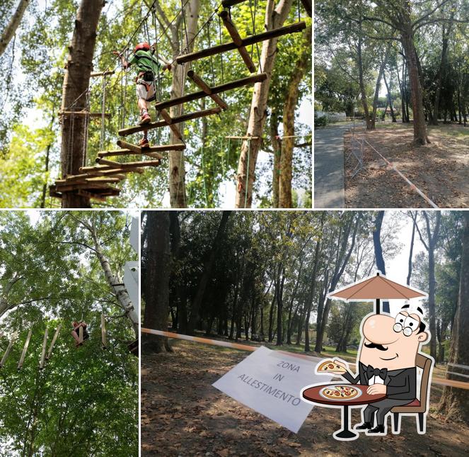 Puoi goderti l'aria fresca da seduto all'esterno di Apua Adventure Park