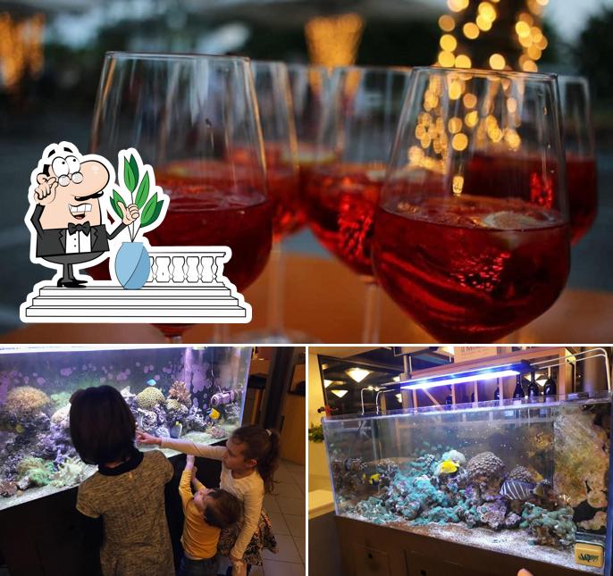 La immagine della esterno e vino di Ristorante Pizzeria Gelateria Polin