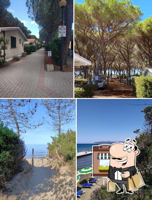 Guarda gli esterni di Camping Village Marina Chiara