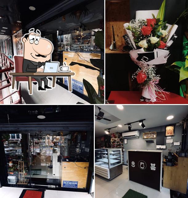 SOUL OF CAKE N BLOOM