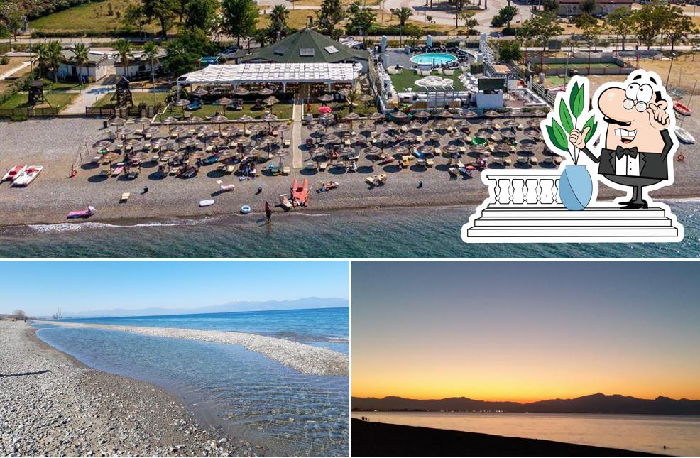 Gli esterni di LulaPaluza