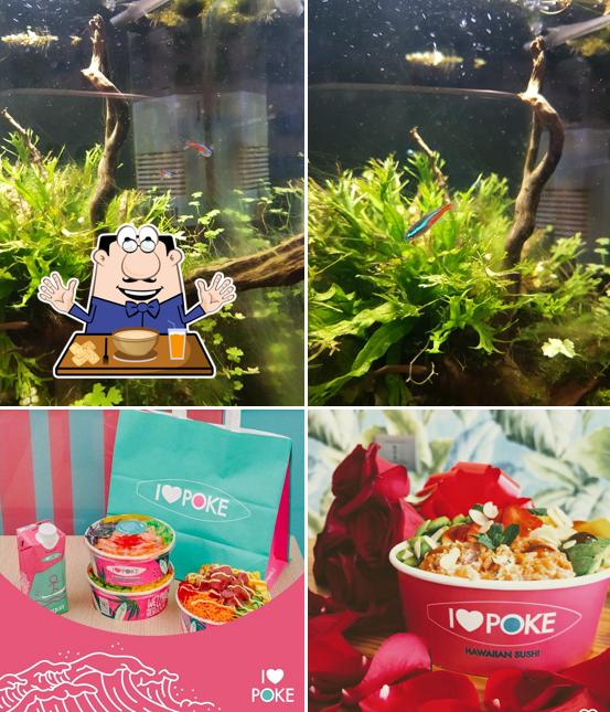 Cibo al I Love Poke - Nola