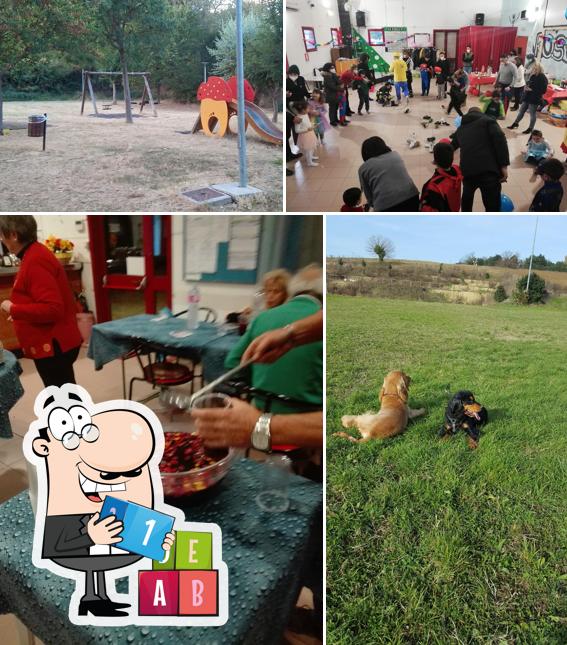 Immagine di Area Verde Borgo Ribeca