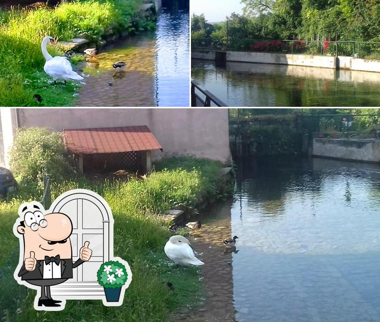 Guarda gli esterni di Trattoria La Mora