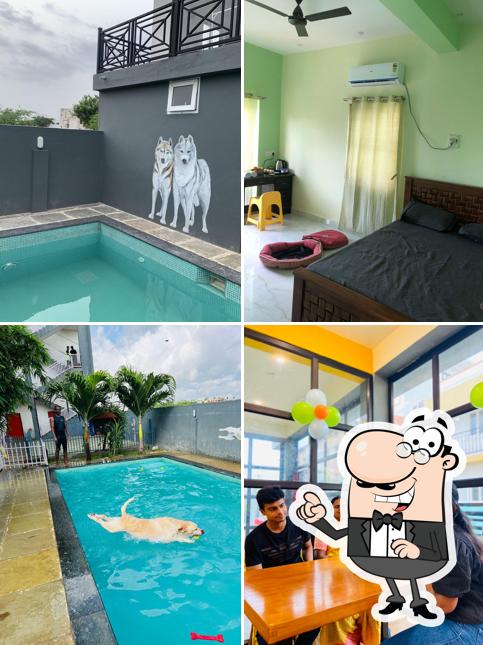 Check out how RC Pet Boarding & Resorts looks inside