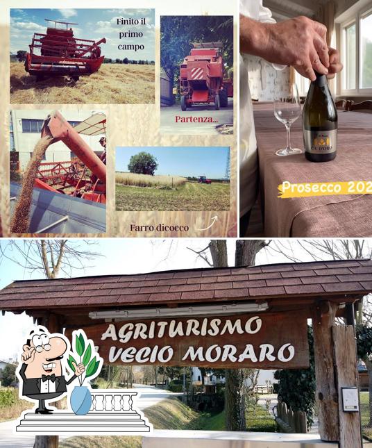 Questa è la immagine che raffigura la esterno e bevanda di Al Vecio Moraro