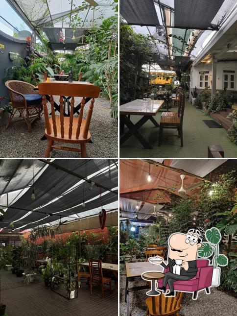 The interior of Garden Cafe The Pepper Lounge
