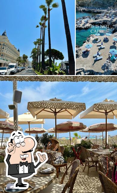 Dai un'occhiata agli interni di Voyager