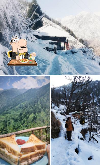 The image of Hakuna matata by timon and pumba’s food and exterior