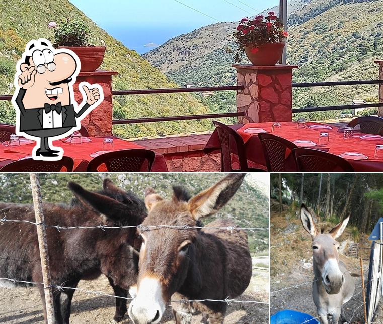Dai un'occhiata agli interni di Il Gattopardo - Agriturismo Ristorante- Pizzeria (TORRETTA -PA)
