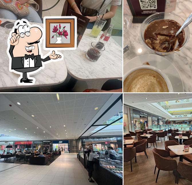 Torterie Macaron - CCO Split