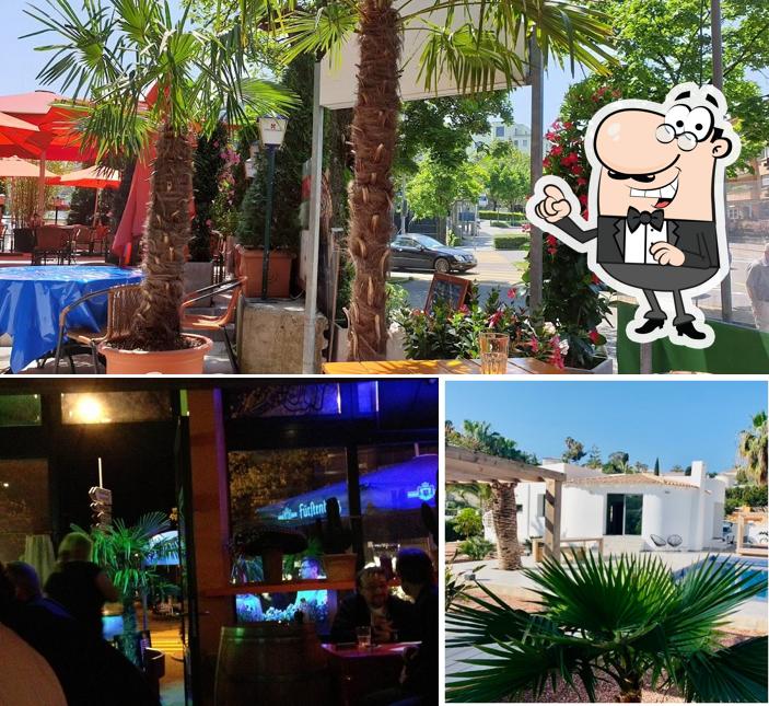 Dai un’occhiata alla immagine che presenta la esterno e bancone da bar di Casa alegria