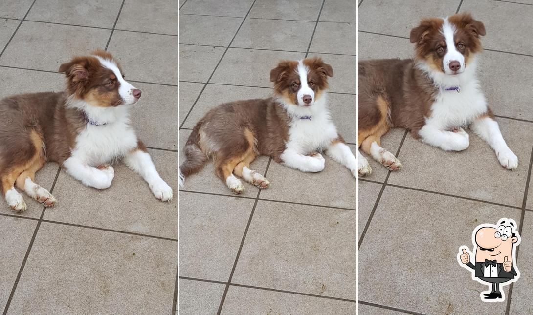 Guarda la immagine di Pizzeria 4 Mori