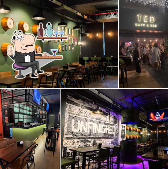 Ted- Cafe & Bar