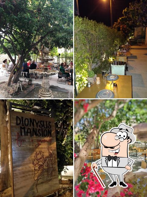 Dionysus Mansion Limassol Restaurant Menu Prices And Reviews dionysus-mansion-limassol-restaurant-menu-prices-and-reviews