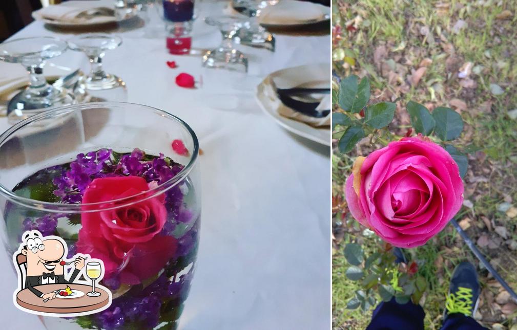 Cibo al Azienda agrituristica terra delle rose