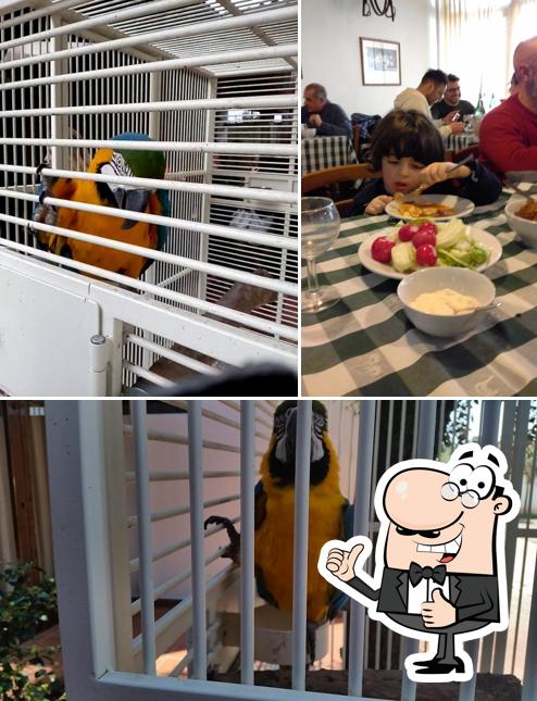 agriturismo monte la vecchia di sgobba