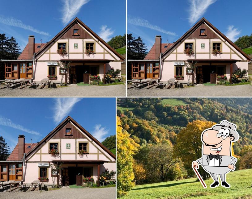 FERME AUBERGE DU HILSEN