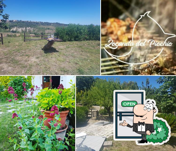 Goditi la vista dagli esterni di La Locanda Del Picchio