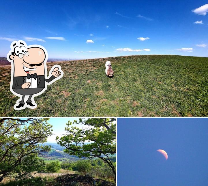 Puoi goderti l'aria fresca dal dehors di Circolo della Caccia Monte Vangelo