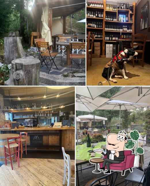 Dai un'occhiata agli interni di AMUNSE risto • wine • bar