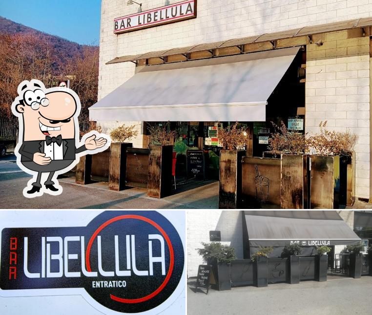 Bar Libellula