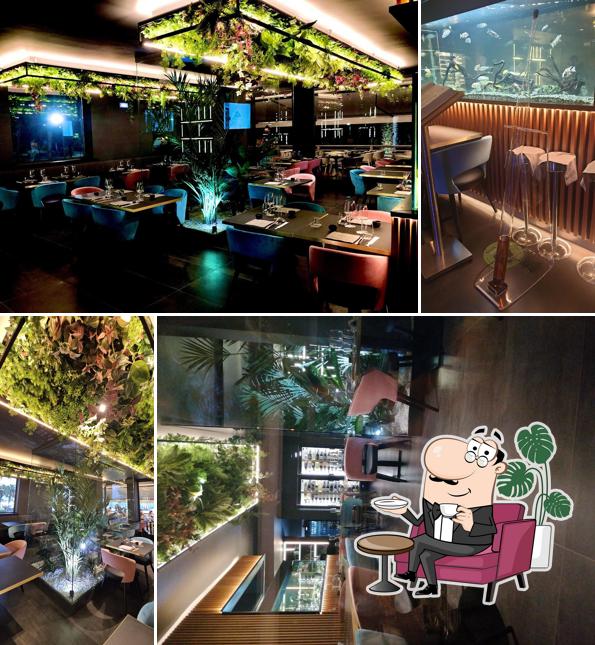 Gli interni di Krudo sushi fusion mixology