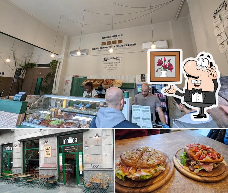 Gli interni di Mollica