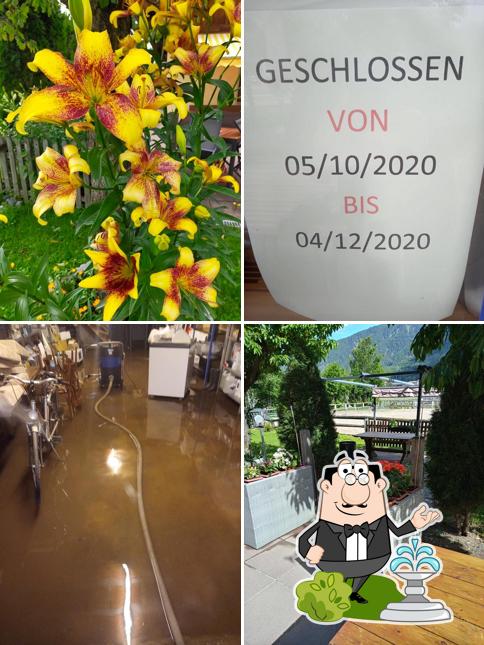 Gli esterni di Restaurant Reiterstube