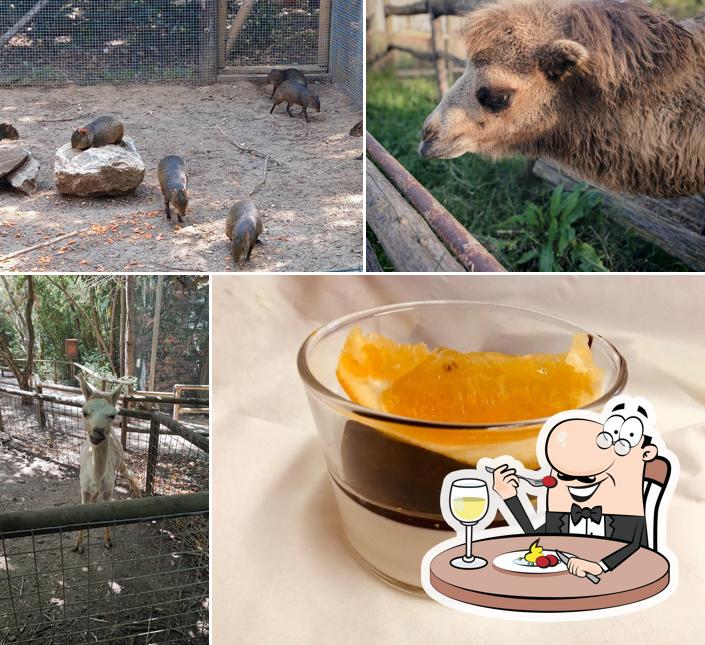 Platti al Parco Gallorose