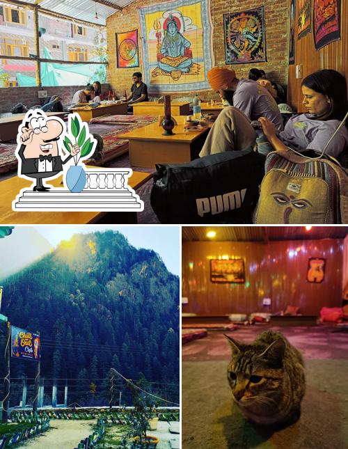 Among different things one can find exterior and interior at Chill out cafe