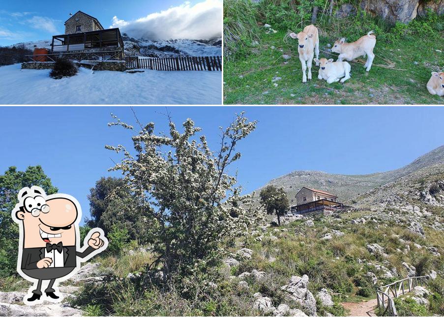 Puoi goderti l'aria fresca da seduto all'esterno di Rifugio Pornito
