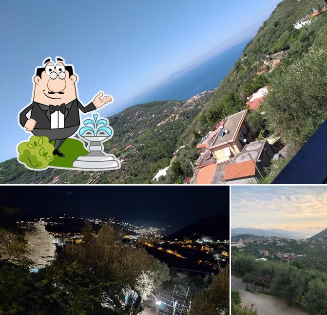 Curiosa tra la parte esterna di Osteria Torre Ferano