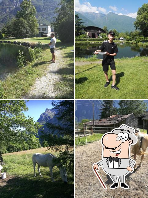 Goditi la vista dall'area esterna di ASD Lago Ronka