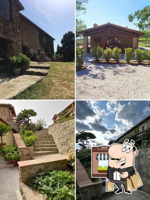 Curiosa tra gli esterni di Agriturismo Di Colle In Colle