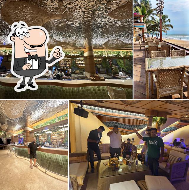 The interior of Gypsea