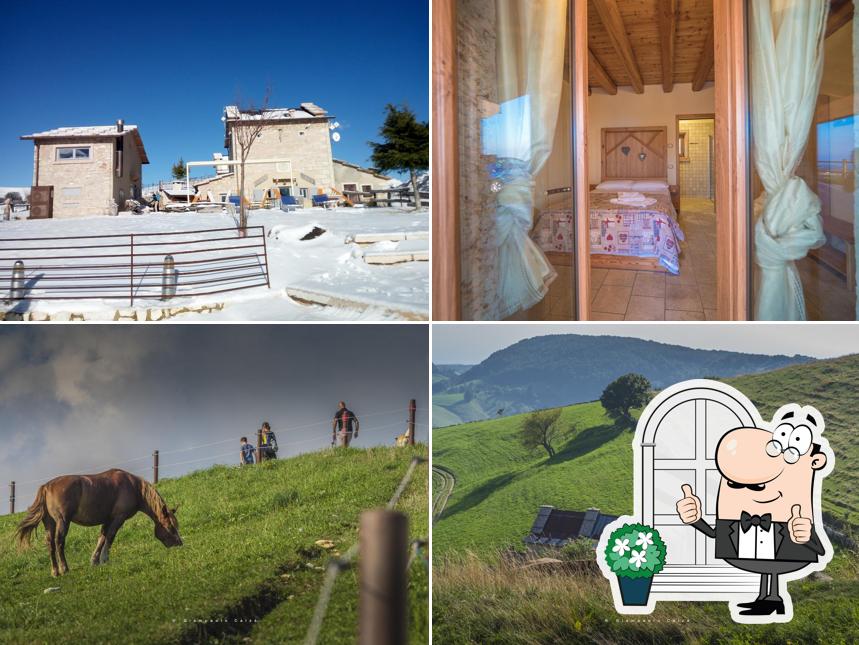 La parte esterna è una caratteristica importante di Rifugio Lausen