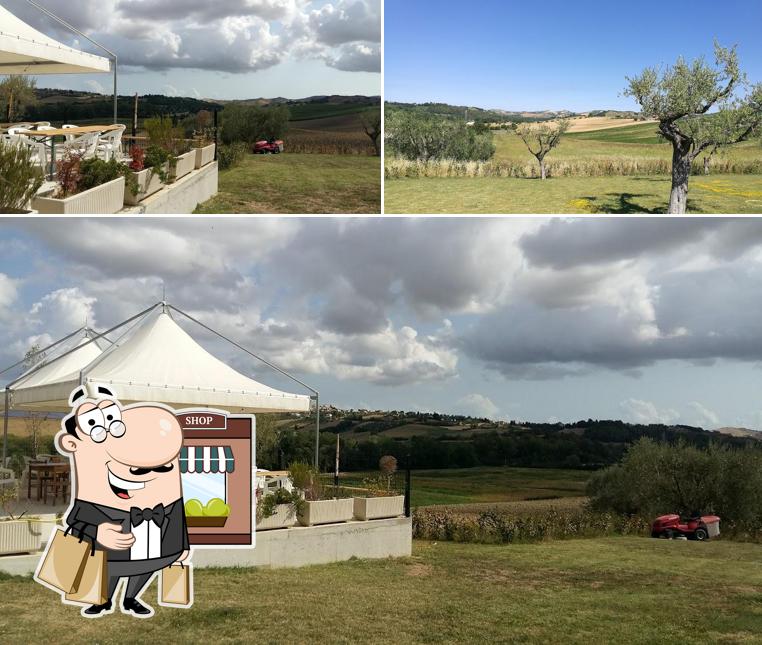 Guarda l'area esterna di Agriturismo IL COLLE DELLE DELIZIE