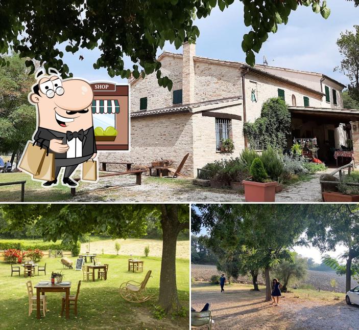 Curiosa tra gli esterni di Adagio Ristorante Agriturismo - tra Fano e Pesaro