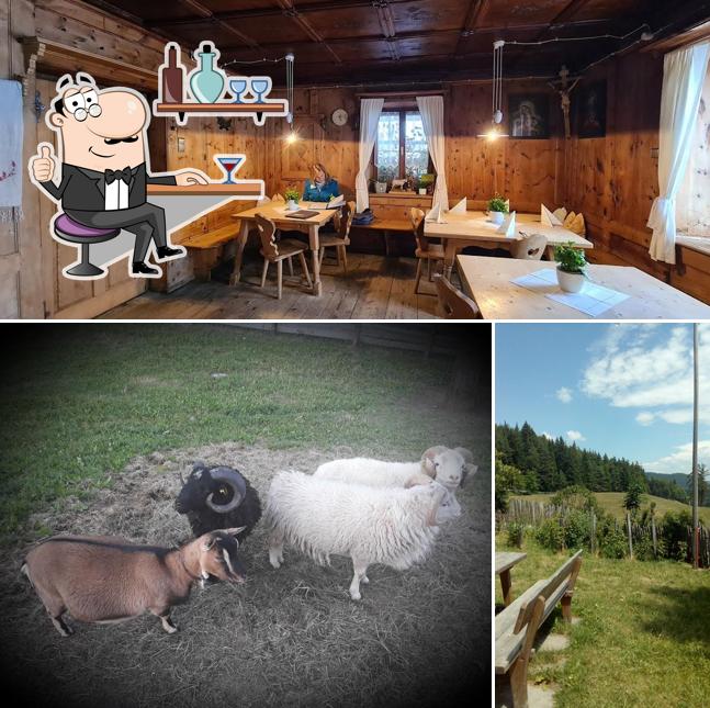 Gli interni di Oberpfaffstallhof