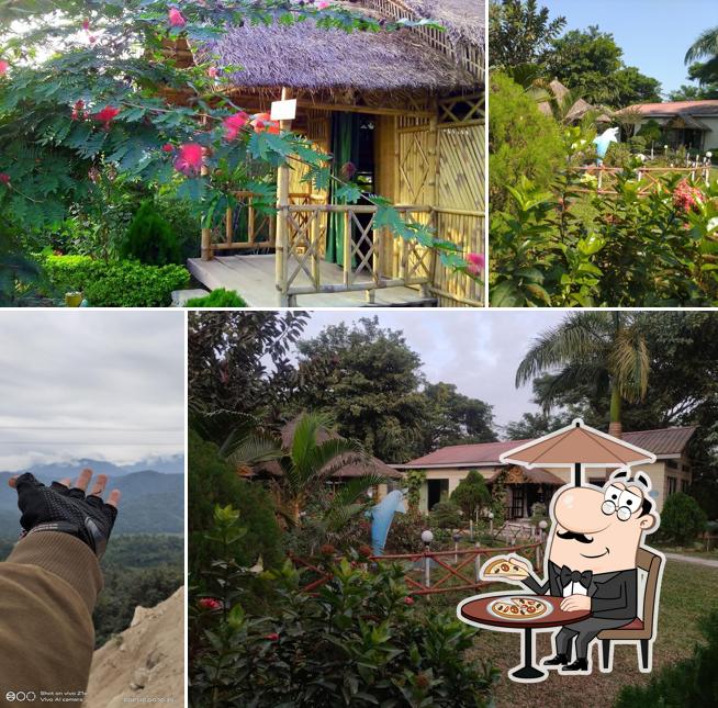Enjoy the view at the outside area of TREE HOUSE