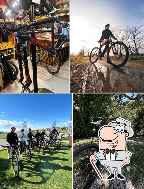 Curiosa tra gli esterni di APRE BIKE
