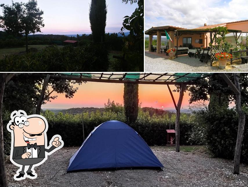 Goditi la vista dagli esterni di La Serra del Pino - Agricampeggio