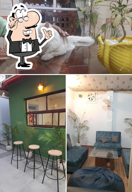 The picture of interior and exterior at POP CAFE & RESTAURANT - PLACE OF PEOPLE