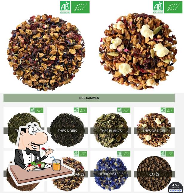 Grossiste Thé Bio - Grossiste-the.com - Obvious Tea