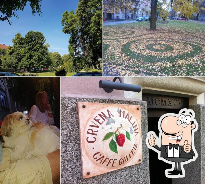 Ecco un'immagine di CRVENA MALINA d.o.o