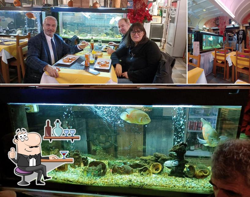 Siediti a un tavolo di Victoria Bar Ristorante Pizzeria