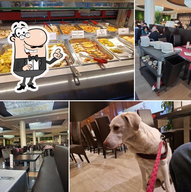 Gli interni di fratelli anghel s.r.l