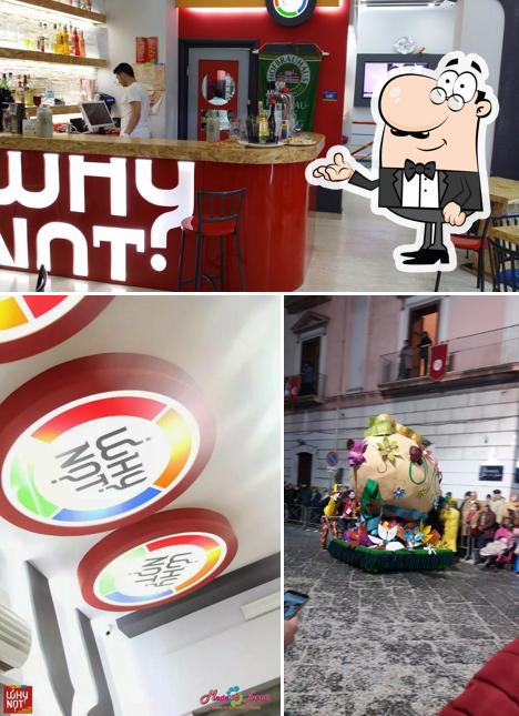 Dai un'occhiata agli interni di Why Not?