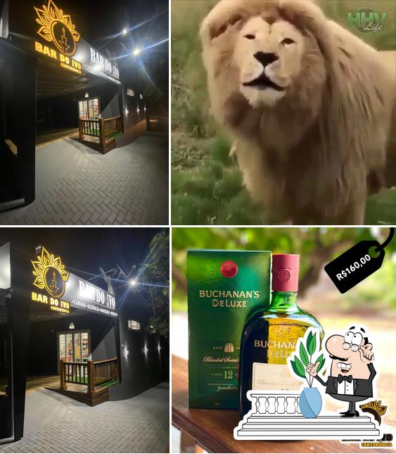 Bar do Ivo e Conveniência